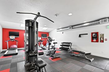A gym with a variety of equipment including a treadmill, weights, and a bench press.